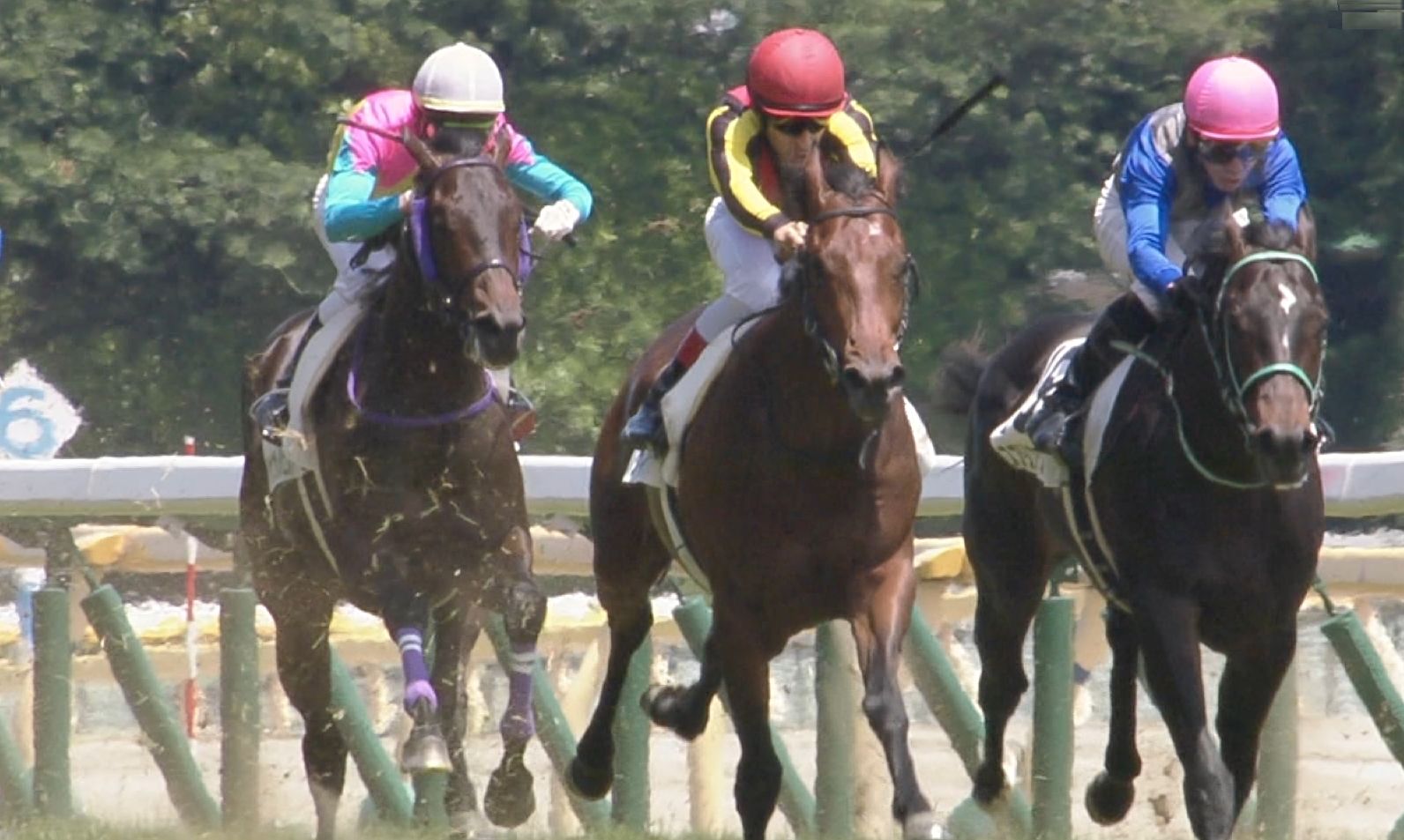 【競馬】母父ディープと相性がいい種牡馬って何なの? 【競馬】母父ディープと相性がいい種牡馬って何なの?
