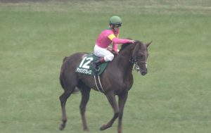 【競馬/エプソムC】高須院長、ダッシングブレイズについてつぶやく 【競馬/エプソムC】高須院長、ダッシングブレイズについてつぶやく
