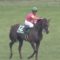 【競馬/エプソムC】高須院長、ダッシングブレイズについてつぶやく