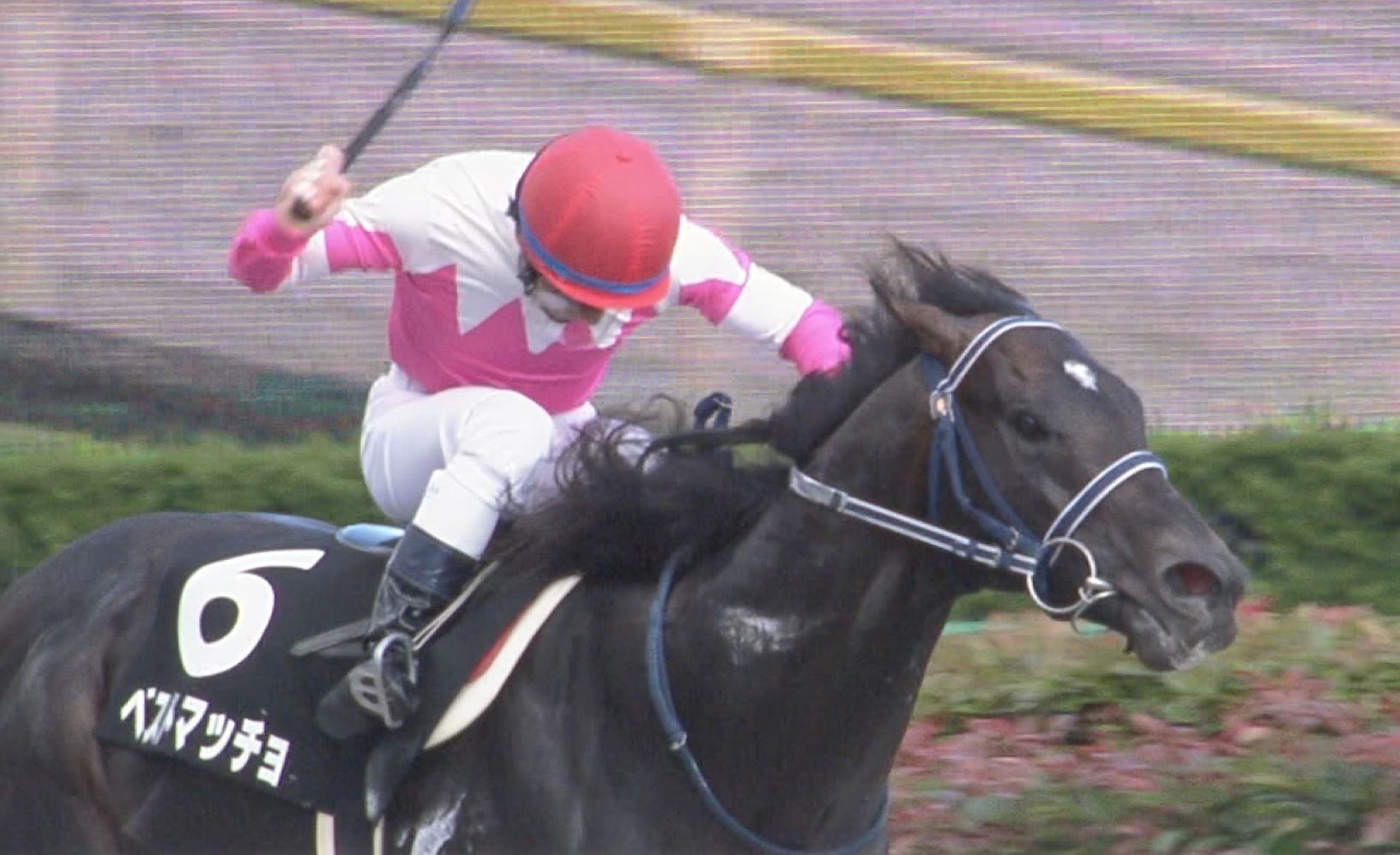 【競馬】ベストマッチョ直接持ちすぎワロタ 【競馬】ベストマッチョ直接持ちすぎワロタ