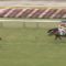 【競馬/2歳新馬】ホーリーレジェンド強すぎｗｗｗｗｗｗｗ