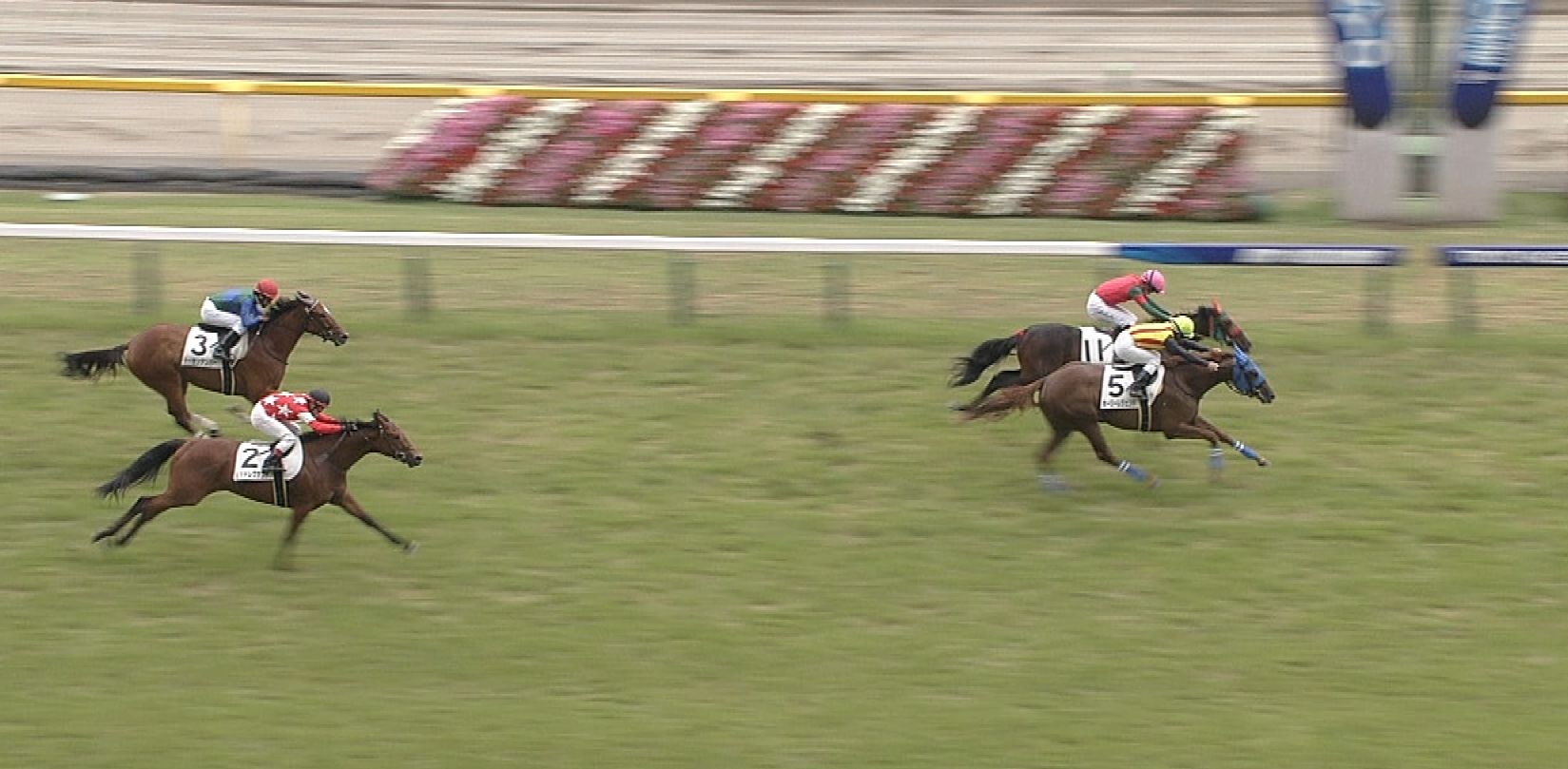 【競馬/2歳新馬】ホーリーレジェンド強すぎwwwwwww 【競馬/2歳新馬】ホーリーレジェンド強すぎwwwwwww