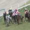 【競馬/マーメイドS】トーセンビクトリー単勝3万買ってて、今帰宅したんだが入金確認できない