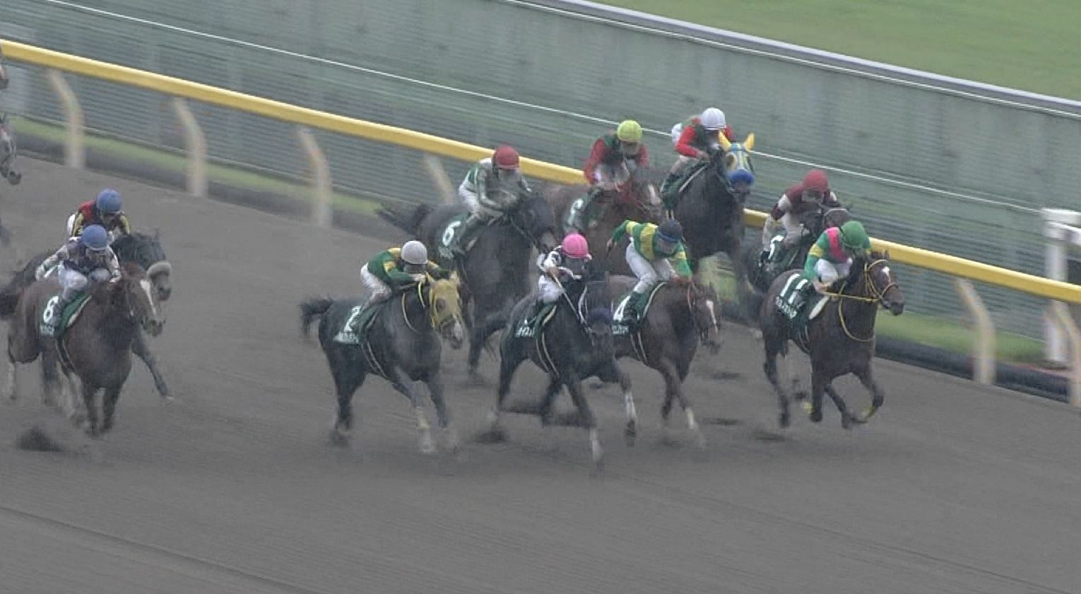 【競馬/ユニコーンS】リエノテソーロとはなんだったのか??????? 【競馬/ユニコーンS】リエノテソーロとはなんだったのか???????