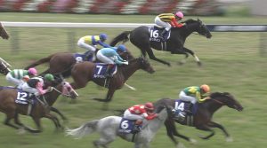 【競馬】競馬デムーロ3週連続3着ｗｗｗｗｗｗｗｗ