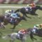 【競馬】競馬デムーロ3週連続3着ｗｗｗｗｗｗｗｗ