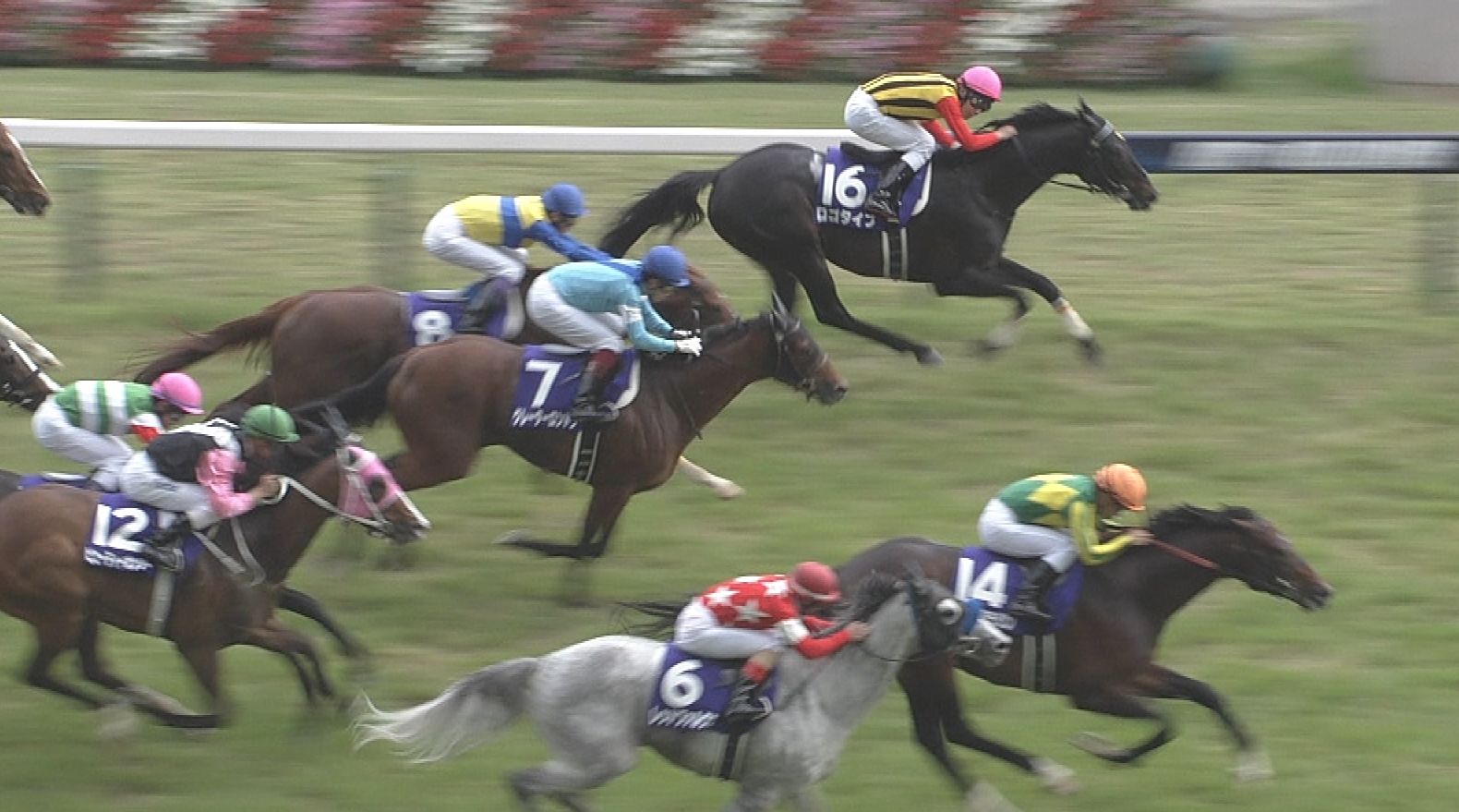 【競馬】競馬デムーロ3週連続3着ｗｗｗｗｗｗｗｗ