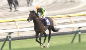 【競馬/安田記念】サトノアラジン讃えるスレ無くてわろた 【競馬/安田記念】サトノアラジン讃えるスレ無くてわろた