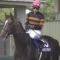 【競馬】キタサンブラックの宝塚敗戦から1ヶ月。武豊「さすがにヘコみました」