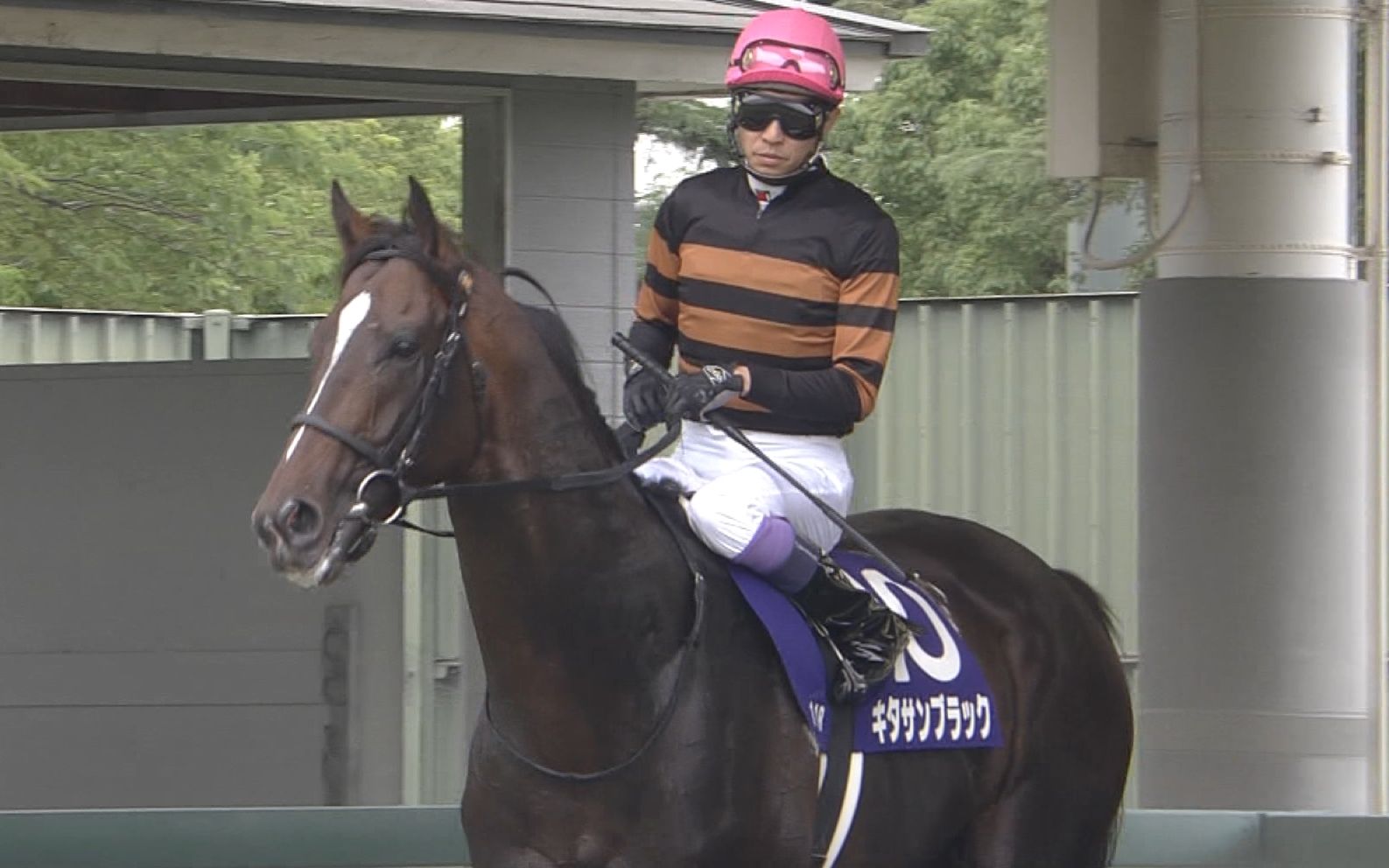 【競馬】キタサンブラック次走は天皇賞秋で決定