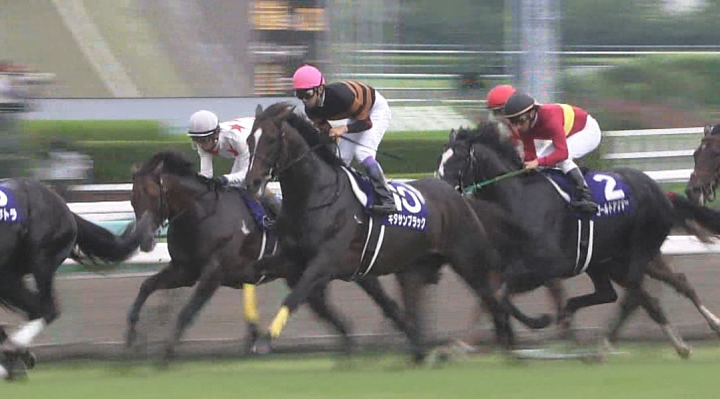 【競馬/宝塚記念】キタサンブラック内枠じゃないとダメwwwwww 【競馬/宝塚記念】キタサンブラック内枠じゃないとダメwwwwww