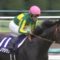 【競馬】『サトノ』の里見治オーナー、GI６勝目。しかもこの間8ヶ月