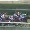 【競馬/宝塚記念】福永祐一シュヴァルグランの逃げｗｗｗｗｗｗｗｗｗｗｗ