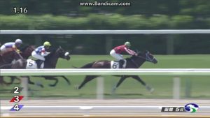 【競馬】新馬戦1勝で大はしゃぎのオルフェーヴル好きな人 【競馬】新馬戦1勝で大はしゃぎのオルフェーヴル好きな人