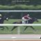 【競馬】新馬戦1勝で大はしゃぎのオルフェーヴル好きな人