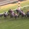【競馬】トーセンラーって凄くね？