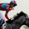 【競馬】ラニが種牡馬として人気な理由が分からない