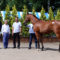 【競馬】悲願のダービー制覇へ。里見氏落札セレクト1歳最高額馬リッスンの2016、岡田総帥が半持ち