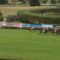 【競馬/海外】仏G1・サンクルー大賞典ザラキが連覇目前のシルヴァーウェーブを差し切り初G1制覇！