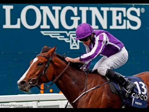 【競馬/ジャパンC】Aオブライエン厩舎・アイダホの鞍上はライアン・ムーアに決定