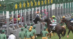 【競馬】カイザーバル、ゲート内で回転wwwwwwwwww 【競馬】カイザーバル、ゲート内で回転wwwwwwwwww