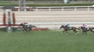 【競馬/クイーンS】横山典弘がアエロリットで大逃げwwwww 【競馬/クイーンS】横山典弘がアエロリットで大逃げwwwww