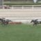 【競馬/クイーンS】横山典弘がアエロリットで大逃げwwwww