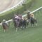 【競馬/クイーンS】福永開催日４日間の騎乗停止。夏休みへ