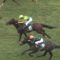 【競馬/ラジオNIKKEI賞】川田、サトノクロニクルのハンデ57キロに激怒。1番人気6着