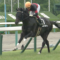 【競馬】シルバーステートって種牡馬大成功するよな