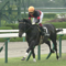 【競馬】来年の種付けが満口だらけな件
