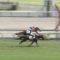 【競馬】キーファーズからついに大物誕生　代表「武豊で凱旋門賞へ」