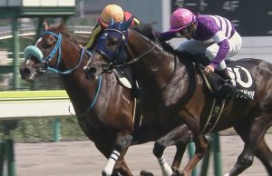 【競馬】神のように上手い戸崎圭太さま、今日も楽々4勝 【競馬】神のように上手い戸崎圭太さま、今日も楽々4勝