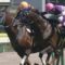 【競馬】佐藤哲三「今の時代に捕まってるだけで勝てる馬は滅多にいない。ほとんどは騎手の差で決まっている」