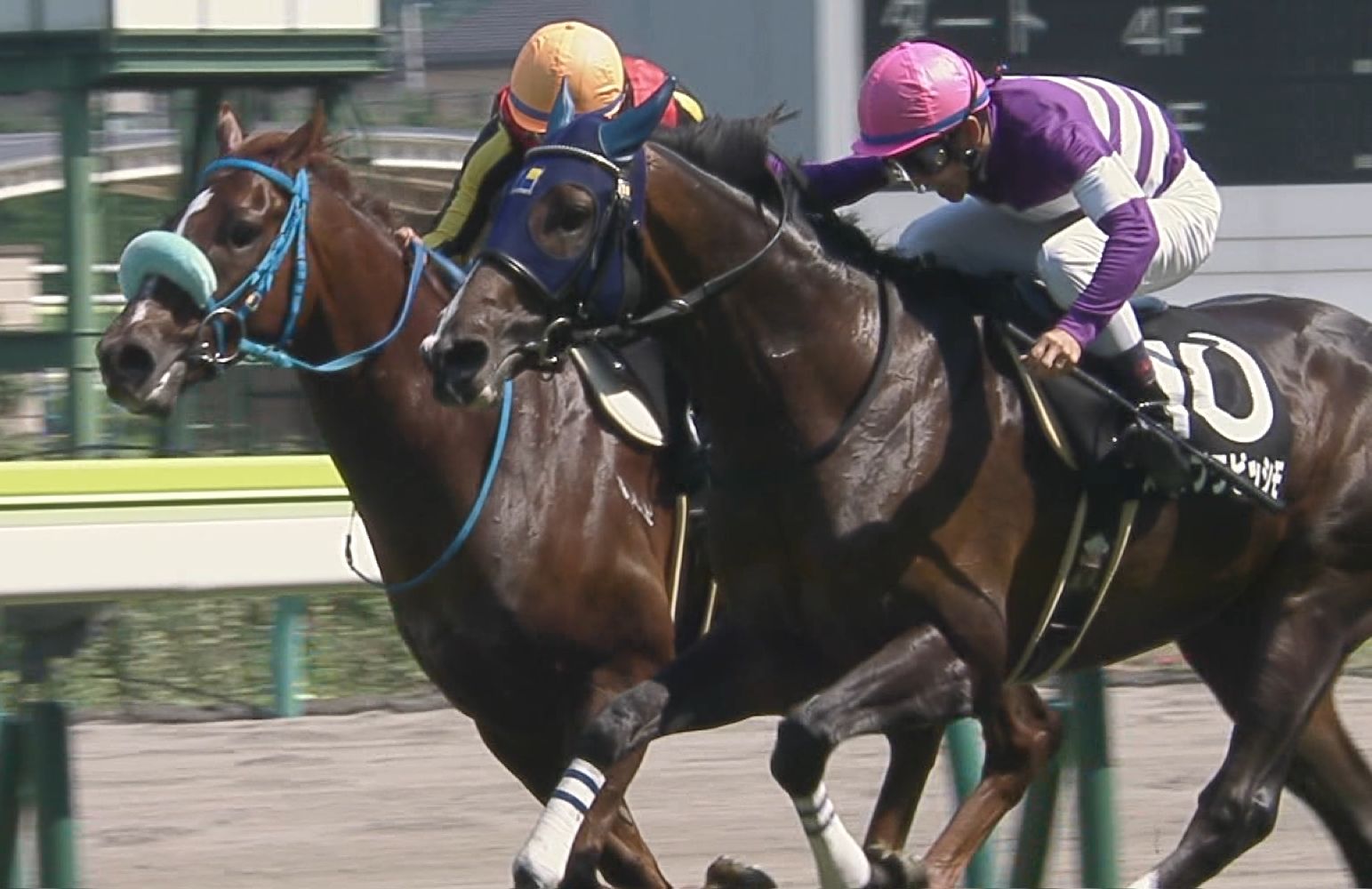 【競馬】神のように上手い戸崎圭太さま、今日も楽々4勝