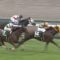 【競馬】水口優也騎手(栗東・フリー)は、1月21日から池江泰寿厩舎所属となる。