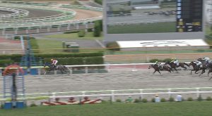 【競馬】テイエムジンソク、木原調教師「何かが吹っ切れたのか、嘘のように勝ちだした」