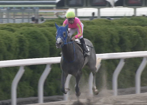 【競馬】WIN5を東海Sテイエムジンソク、AJCCミッキー、アクター、ダンビュで
