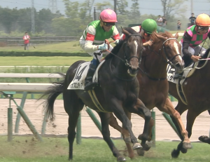 【競馬】ロードカナロアの最高傑作トゥザフロンティアが骨折 【競馬】ロードカナロアの最高傑作トゥザフロンティアが骨折