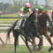 【競馬】ロードカナロアの最高傑作トゥザフロンティアが骨折