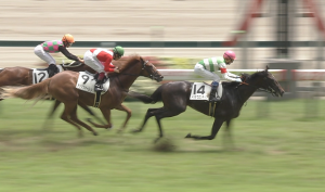 【競馬/2歳新馬】トゥザフロンティア強すぎワロタｗｗｗｗｗｗｗｗ