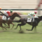 【競馬/2歳新馬】トゥザフロンティア強すぎワロタｗｗｗｗｗｗｗｗ