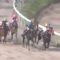 【競馬/マーキュリーC】戸崎圭太、クソ騎乗でピオネロを2着に沈める