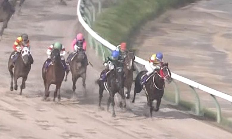 【競馬/マーキュリーC】戸崎圭太、クソ騎乗でピオネロを2着に沈める