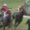 【競馬/中京記念】ピークトラム(武豊)って去年２着だったけどなんでブービーなの？