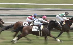 【競馬】主戦武豊のキーファーズ良血馬くじ、またハズレｗｗｗｗｗｗｗ