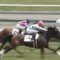 【競馬】主戦武豊のキーファーズ良血馬くじ、またハズレｗｗｗｗｗｗｗ