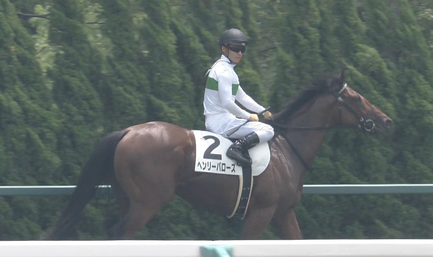 【競馬】怪物候補ヘンリバローズは体調が整わず放牧。京都2歳S見送り