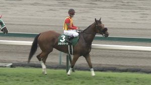 【競馬/京阪杯】メラグラーナ予後不良