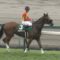 【競馬/京阪杯】メラグラーナ予後不良